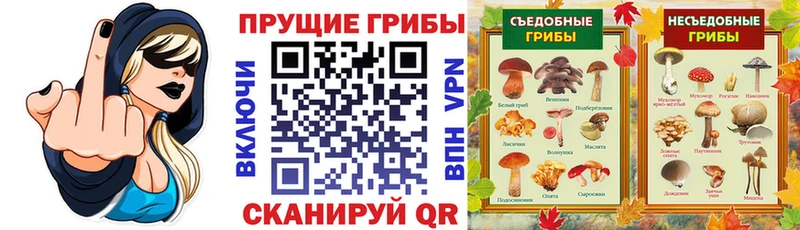 Галлюциногенные грибы мухоморы  где купить   Карасук 